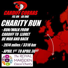 Image result for Cardiff Cobras