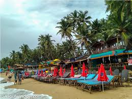 Image result for patnem beach