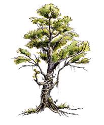 Image result for treant
