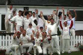 Image result for Yelverton Bohemians Cricket Club