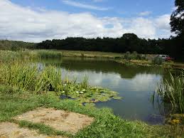 Image result for Vauxhall Angling Club