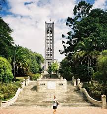 Image result for Nelson Cc