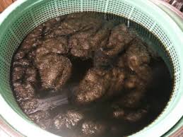 Image result for 名物糞コテ