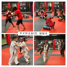 Image result for Pyramid martial arts