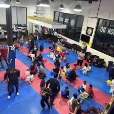 Image result for New Milton Taekwondo Club