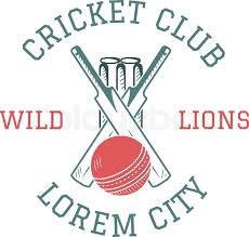 Image result for Bat Sports Cricket Club
