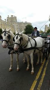 Image result for Datchet Golf Club Ltd