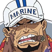 「ヒナ ONE PIECE」の画像検索結果