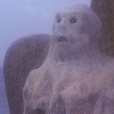 Attēlu rezultāti vaicājumam “Fuligo licentii young”