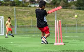 Image result for Long Sutton Cricket Club