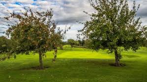 Image result for Clevedon Golf Club