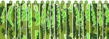 Image result for Tulliallan Golf Club