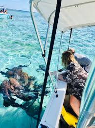 Image result for Three Seas Diving