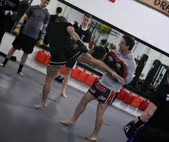 Image result for Muay Thai Clubs