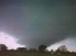 Image result for Leicester City Tornadoes