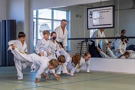 Image result for Kyu Shin Kan, Leicester Aikido