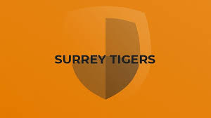 Image result for Cobham Netball Club