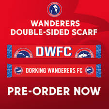 Image result for Dorking Wanderers F C