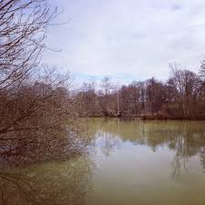 Image result for Warlingham & District Anglers` Society