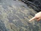 Tetrapod tracks - via Daymix
