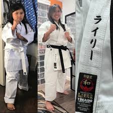 Image result for Ifield Shotokan Karate Club