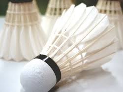 Image result for Nailsea & Backwell Badminton Club