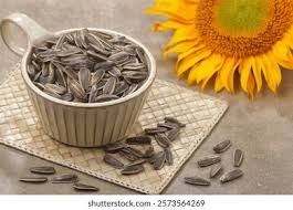 Attēlu rezultāti vaicājumam “Helianthus annuus fruit”