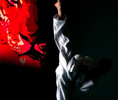 Image result for Kidderminster Tae Kwon Do Tigers