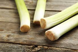 Image result for Porree