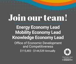 Image result for Team Economic Energy