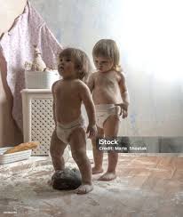 Attēlu rezultāti vaicājumam “Diaperis boleti imago”