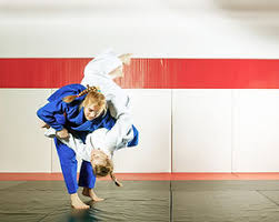 Image result for Merseyside Judo Academy