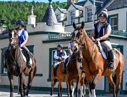 Image result for Peebles & District Riding Club