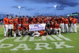 Image result for Taunton Muskets Baseball Club