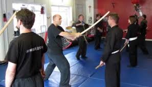 Image result for Bujinkan Truro Dojo