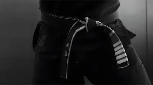 Image result for Hachidori ju-jitsu Martial Arts