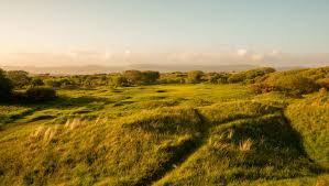 Image result for Pyle & Kenfig Golf Club