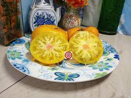 Afbeeldingsresultaat voor blushing yellow tomato