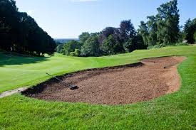 Image result for Dorking Golf Club