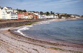 Image result for Dawlish Sc