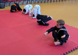 Image result for Junsui Shotokan Karate Do