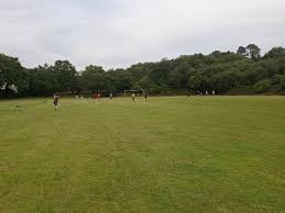 Image result for Ponthenri A F C