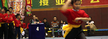 Image result for Dragon Martial Arts Association