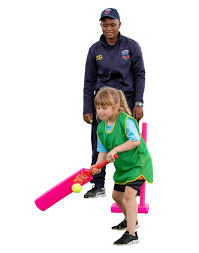 Image result for South Weald Cricket Club