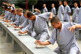 Image result for Shaolin Ancestors kung Fu School