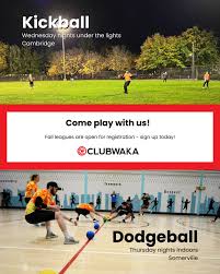 Image result for Wonersh Stoolball Club