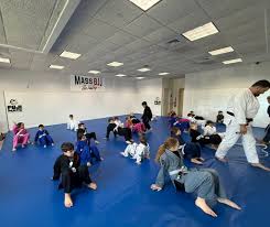 Image result for Taunton Karate Jutsu