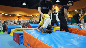 Image result for Little Tricks Gymnastics - Pre-School and Play Gym