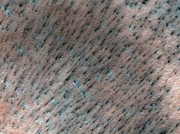 Image result for mars trees