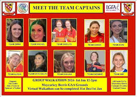 Image result for Moycarkey-Borris Gaa Club